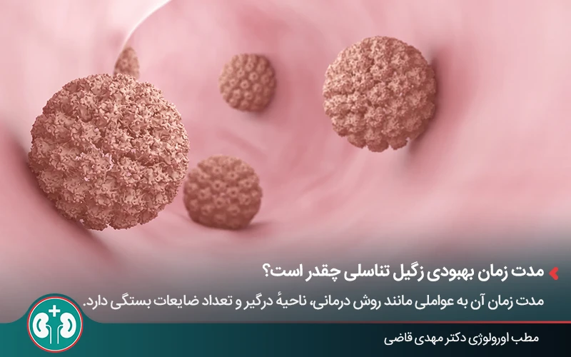 تصویری سه‌بعدی از ویروس HPV