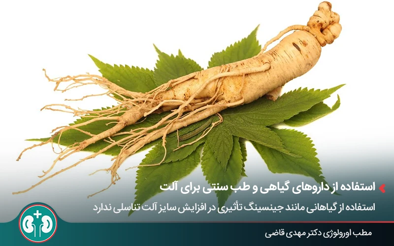 خواص جینسینگ برای تقویت آلت و بزرگ کردن آلت با طب سنتی