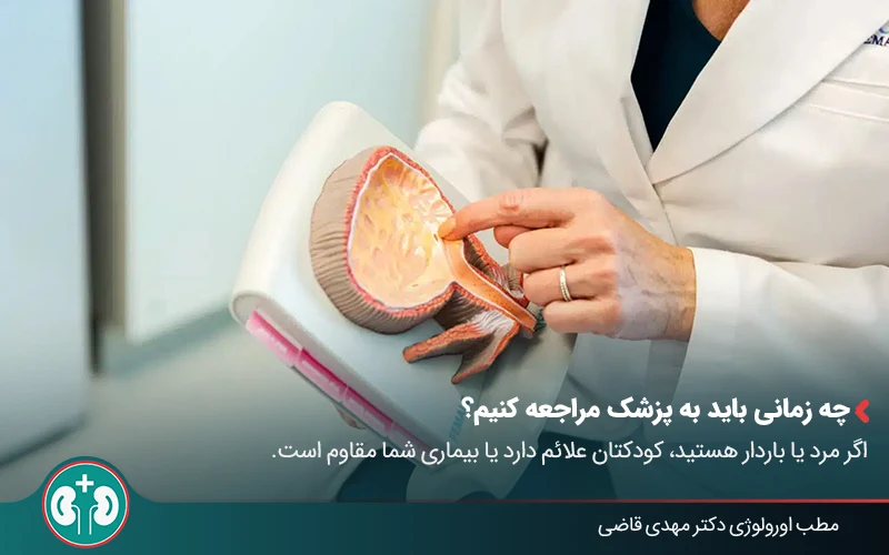 پزشکی در حال اشاره به یک ماکت مثانه