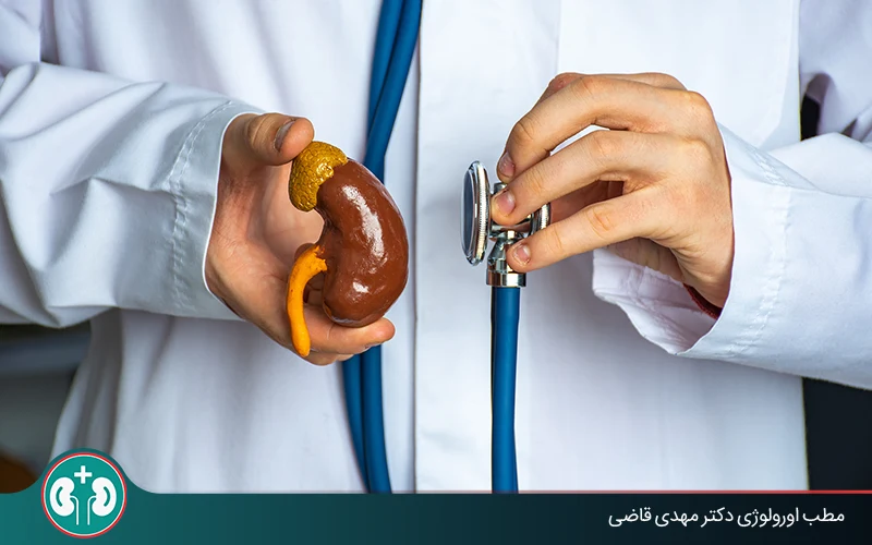 زندگی با یک کلیه (خطرات، روش، امید به‌زندگی) | مطب دکتر قاضی